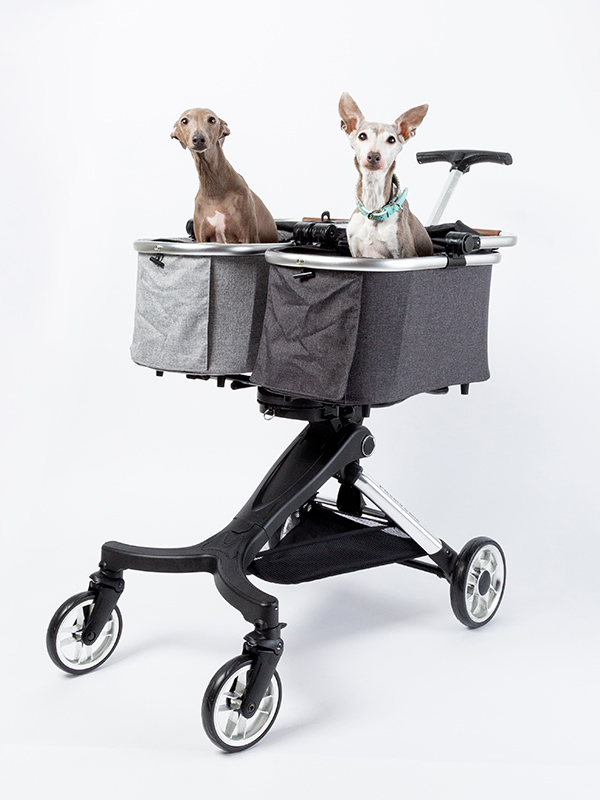 Doppio(ドッピオ)